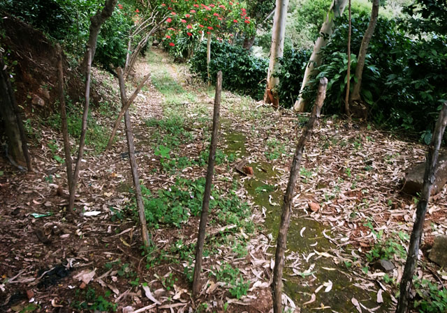 Entrada que según Coyote es una de las principales rutas de internación hacia la frontera con Guatemala para los indocumentados que cruzan El Salvador. Es un terreno privado que, cruzando montes, llega hasta San Antonio Pajonal.